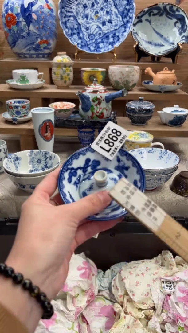 瓷片志*      L868
