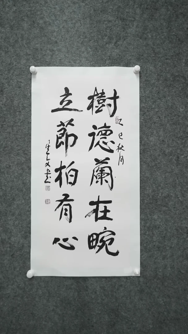 书法书法sxw老师作品