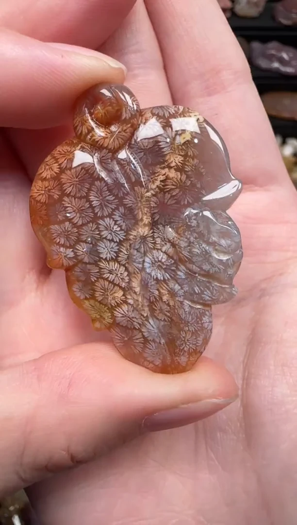 颈饰未镶嵌硅化珊瑚（珊瑚玉）111