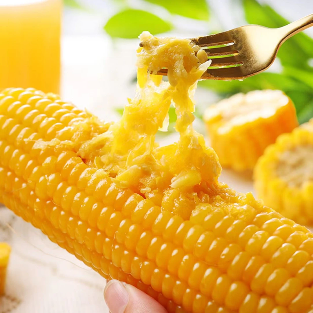 黑龙江黑土地 25年当季 黄色糯玉米 每箱十只 均重260-220克随机