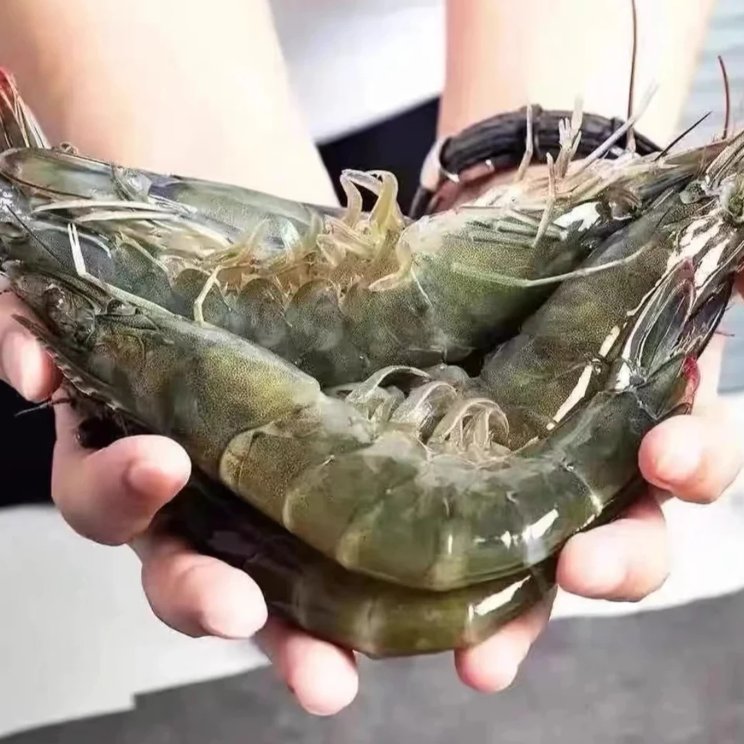 特大大号新鲜海虾 鲜活速冻 25年新货 36-39只 净重三斤 顺丰冷链