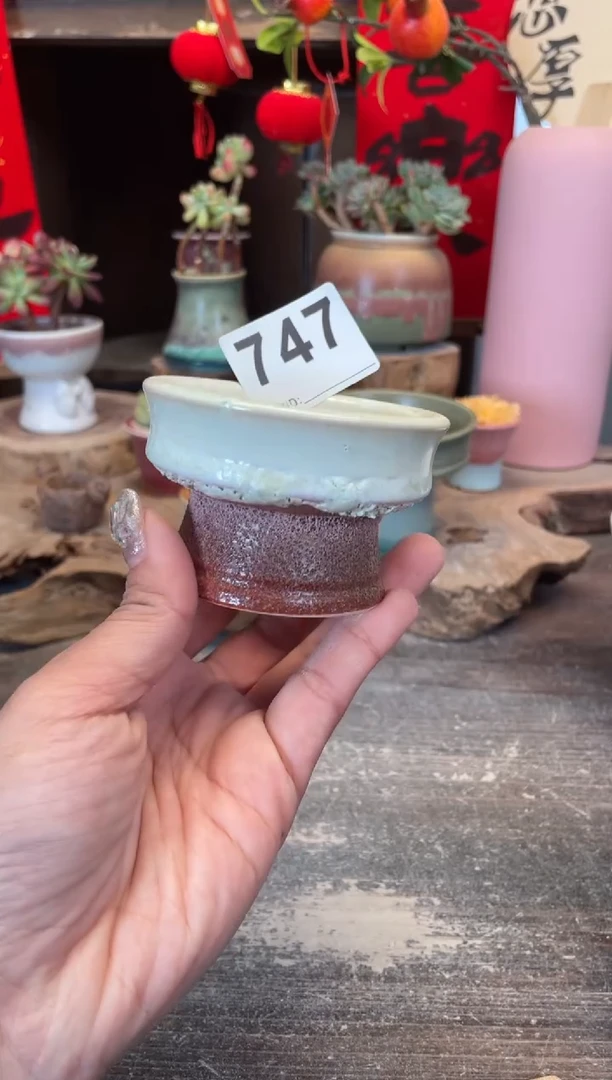 【闪购商品】摆件747知木小芳花盆