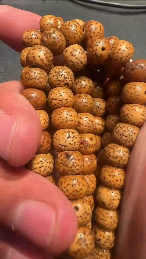 星月念珠星月念珠