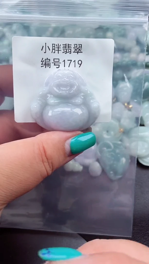 颈饰未镶嵌翡翠缅甸天然A货翡翠1719