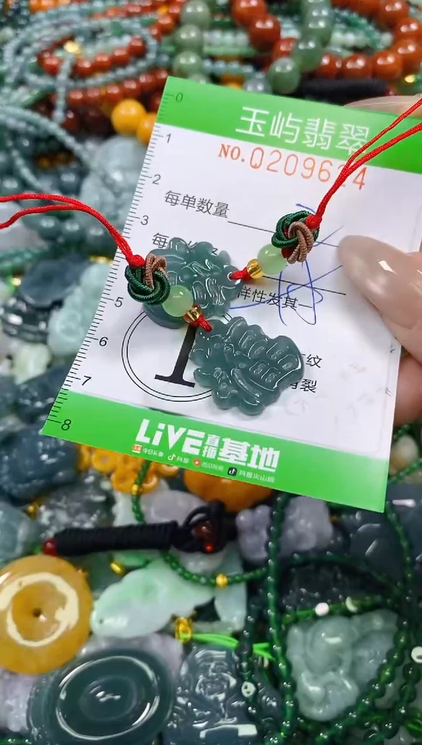 颈饰未镶嵌翡翠闪购0209624多样性发其一