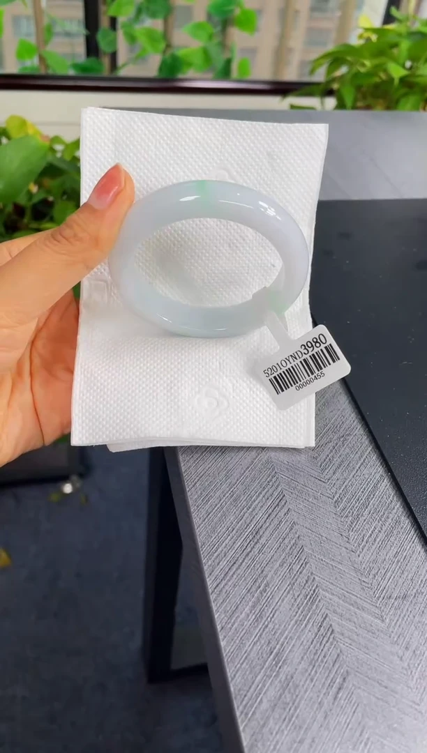 未镶嵌手镯翡翠206-51.6