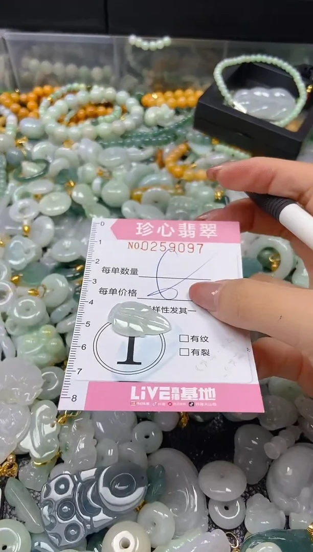 翡翠未镶嵌颈饰闪购0259097