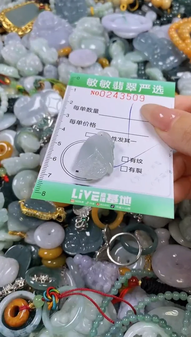 翡翠未镶嵌颈饰闪购0243509