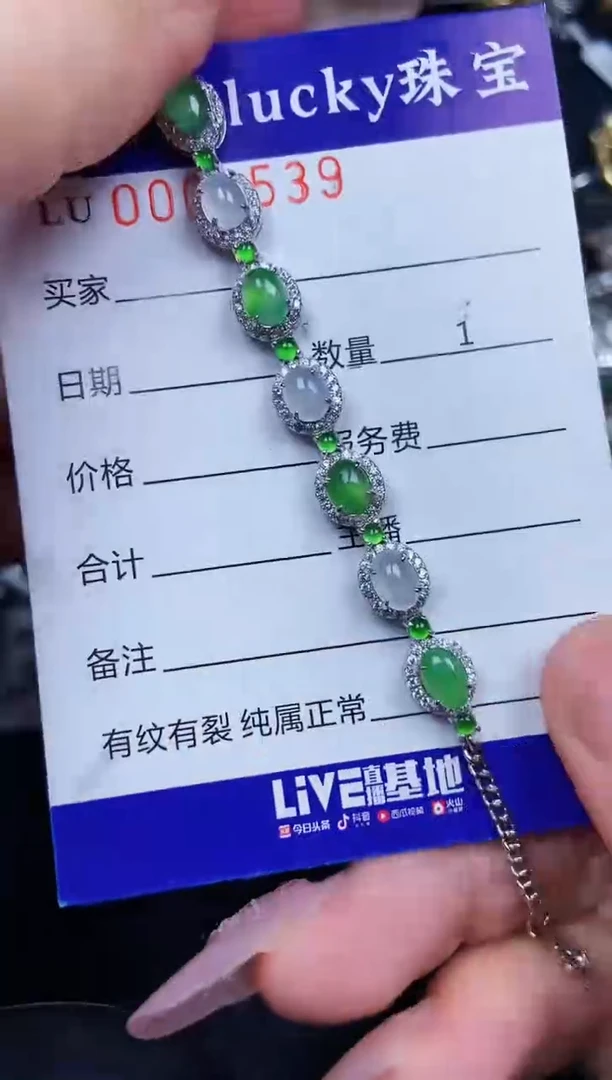 翡翠银S925镶嵌颈饰5539