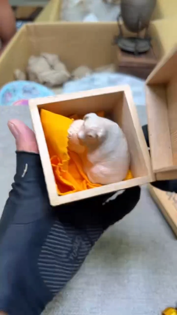 B****起紫砂茶具紫砂茶具
