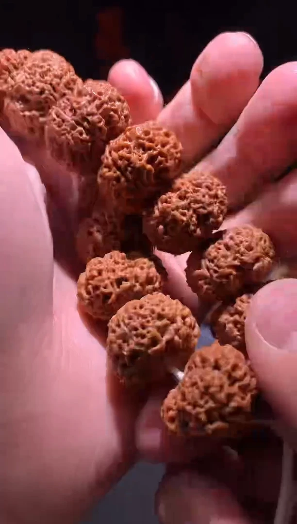 金刚菩提手串726