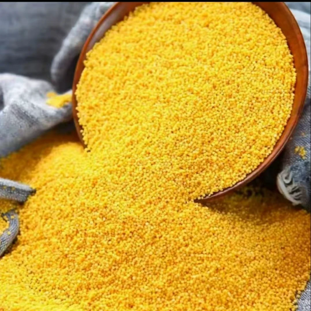 膳阁坊【农家小黄米3斤】正宗农家黄小米杂粮养胃营养香糯米脂米粥