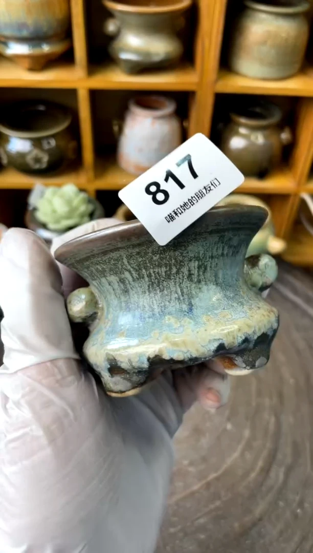【闪购商品】817【多肉花盆多肉盆】