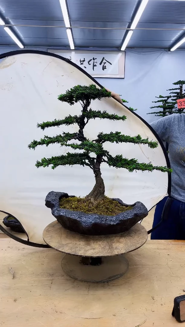 无花朵一物一拍，所见即所得