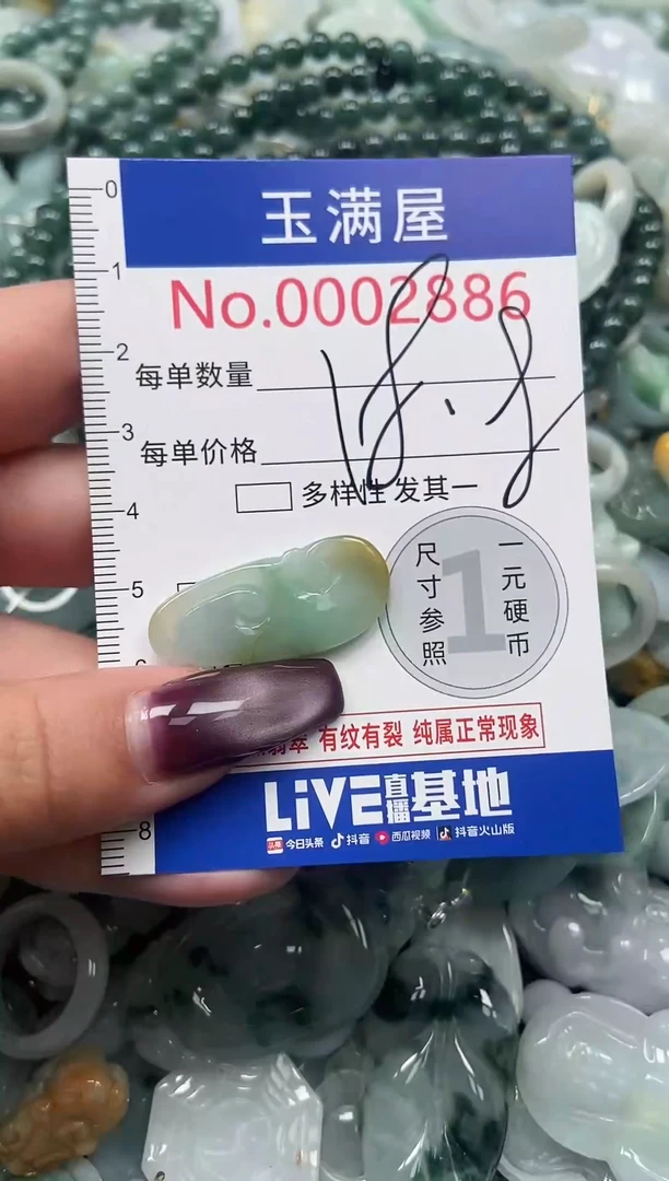 颈饰未镶嵌翡翠2886