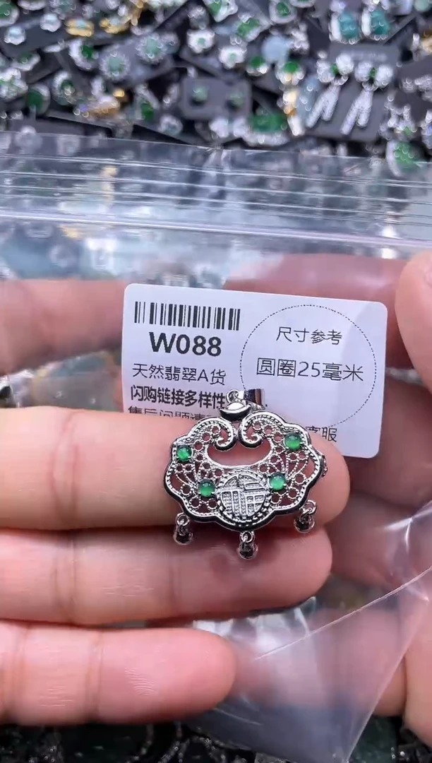 【闪购商品】翡翠颈饰未镶嵌W088项链