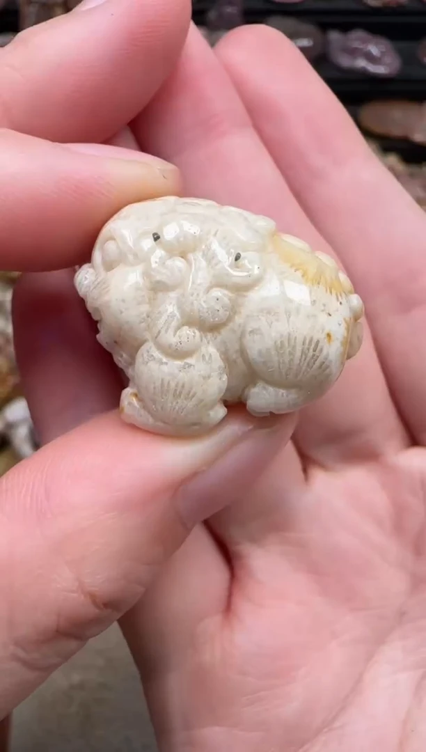 颈饰未镶嵌硅化珊瑚(珊瑚玉)091