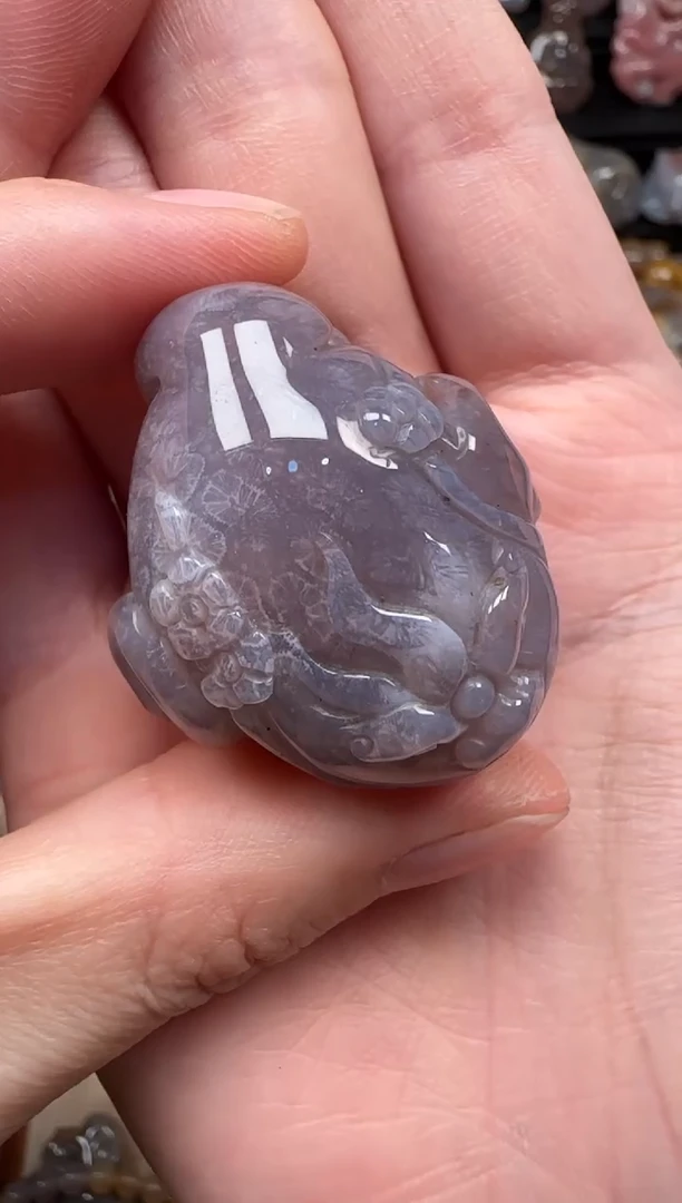 颈饰未镶嵌硅化珊瑚（珊瑚玉）105