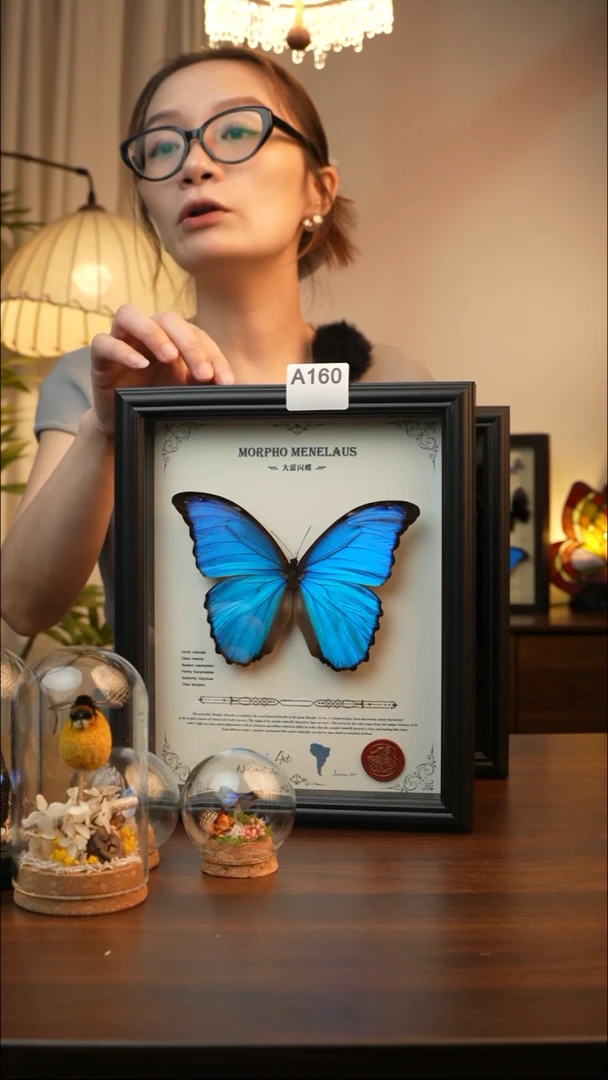 大蓝闪蝶-英文（10寸欧式黑框）A1601