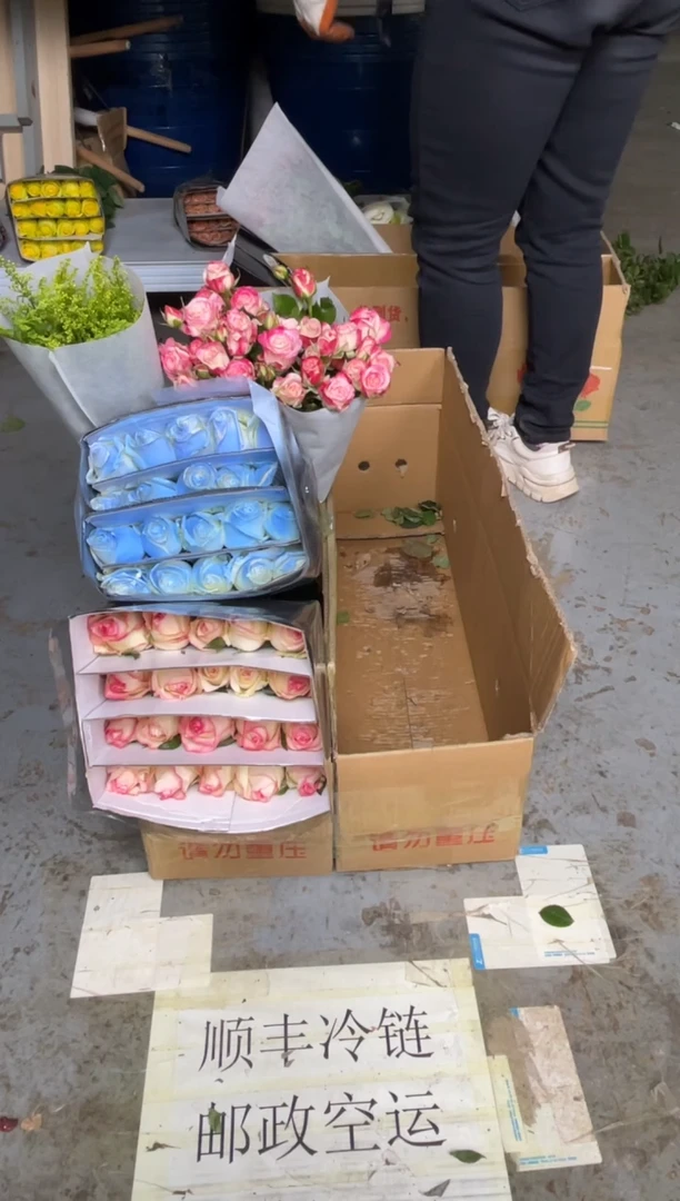 艾沙20枝+碎冰蓝20枝+折射10枝+黄莺