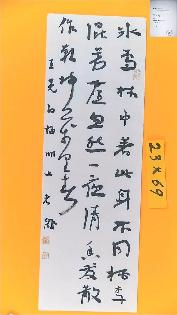 【闪购商品】书法江孝龙书法王冕白梅23*69