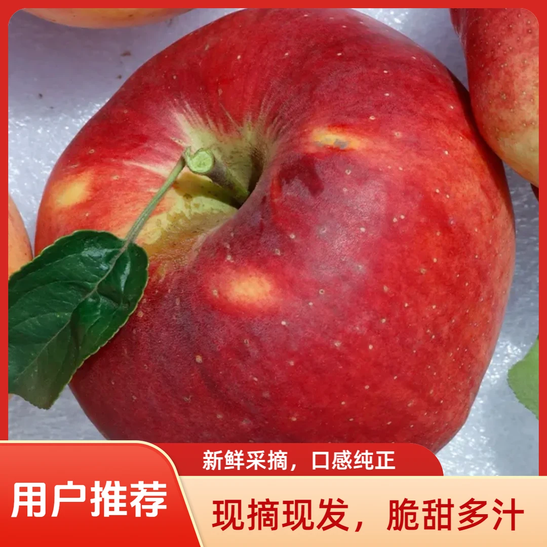 【9斤装红露冰糖心】云南昭通丑苹果新鲜现摘脆甜多汁产地直发