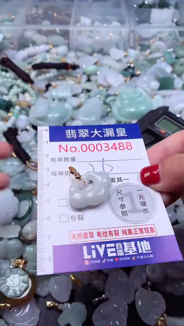 颈饰未镶嵌翡翠3488