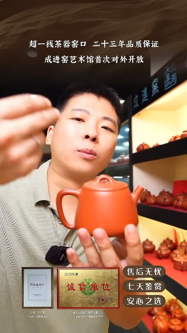 宜兴紫砂壶朱泥高瓢