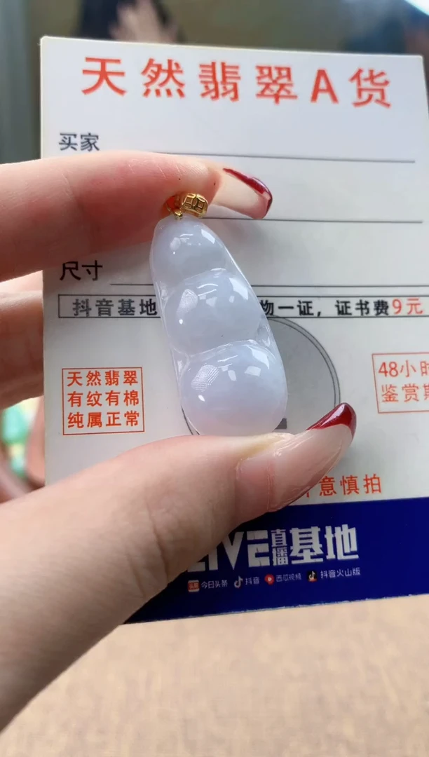 颈饰未镶嵌翡翠天然A货翡翠挂件