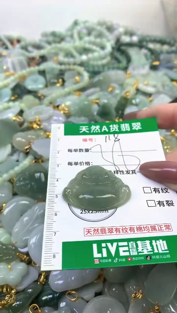 颈饰未镶嵌翡翠纯天然缅甸A货翡翠