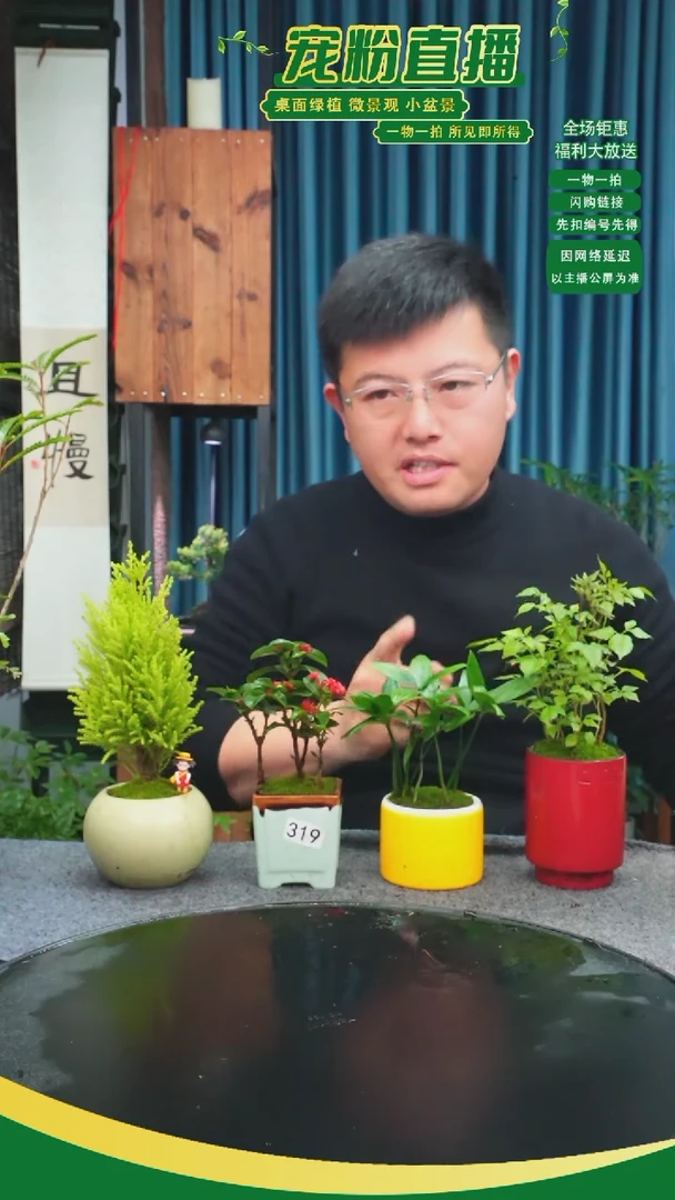 无花朵唯*?苔藓微景观319号