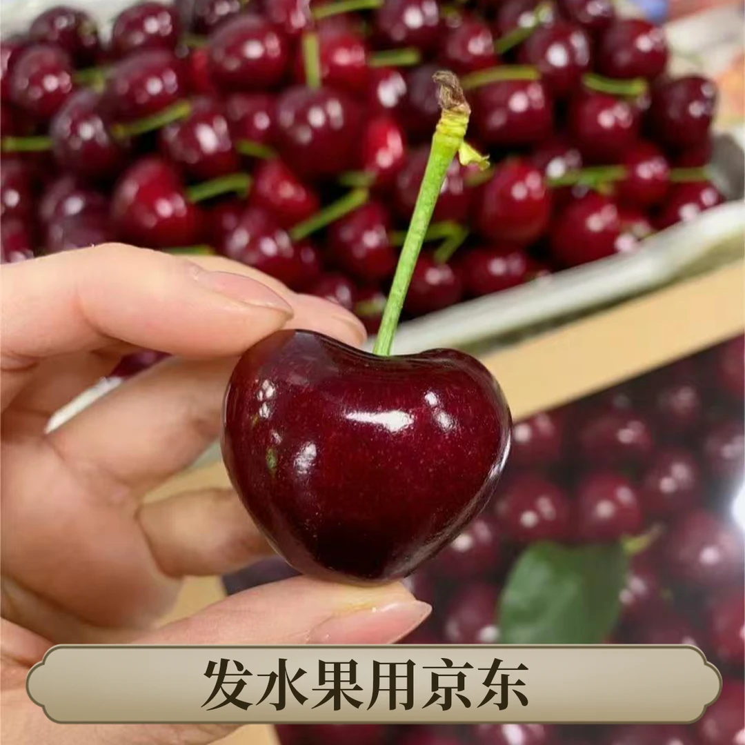 【京东物流】烟台美早 大樱桃新鲜应季硬脆甜风味果酸