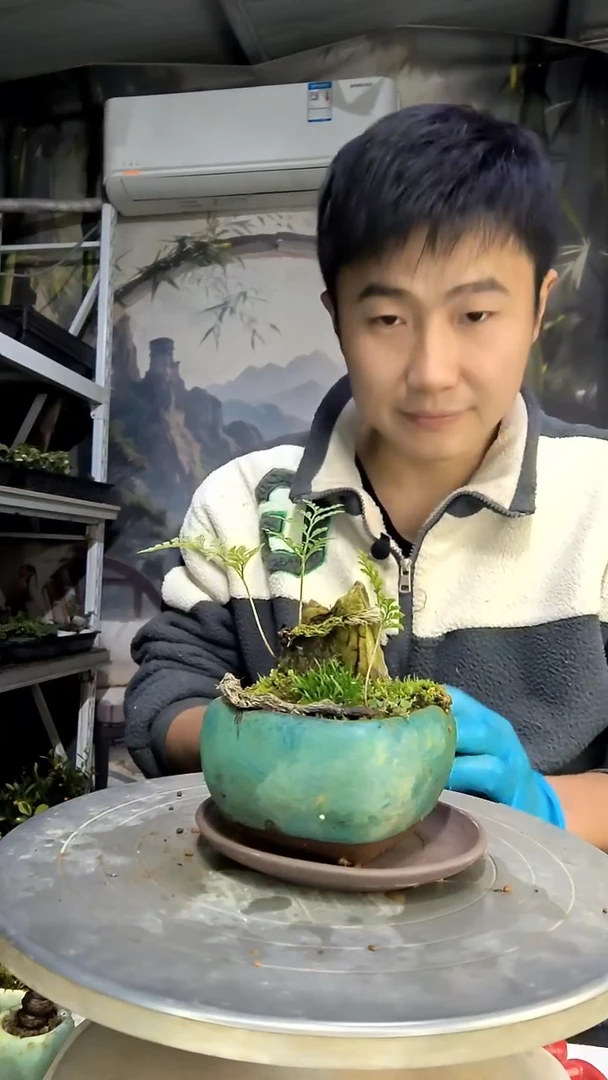 晓*中青园艺一物一拍花112