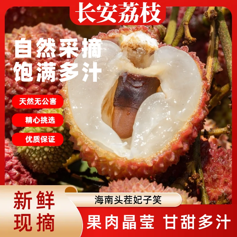 【大特价】海南妃子笑荔枝 头茬鲜果 新鲜不泡水不催熟5斤海南省