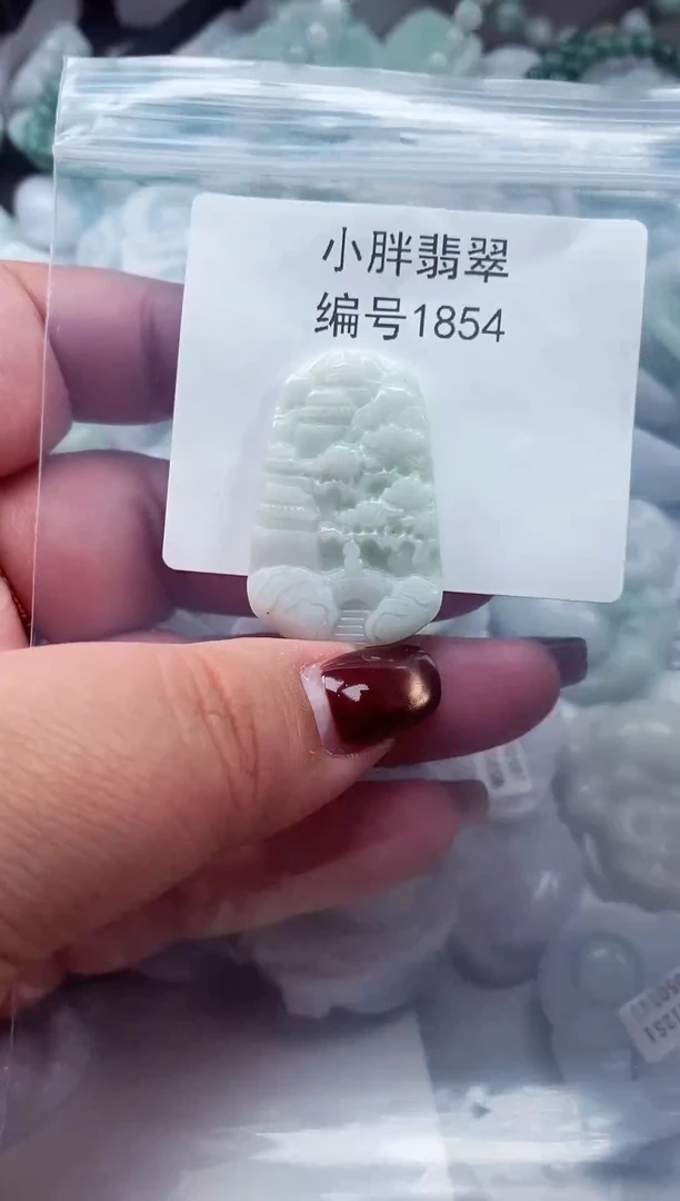 颈饰未镶嵌翡翠缅甸天然A货翡翠1854