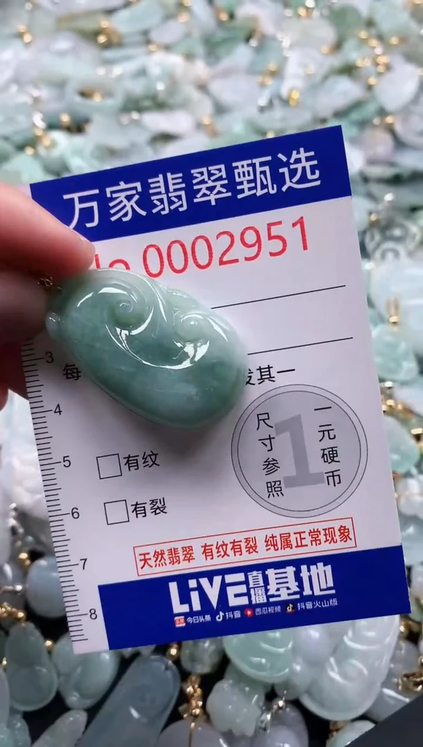 翡翠未镶嵌吊坠(不含链)2951