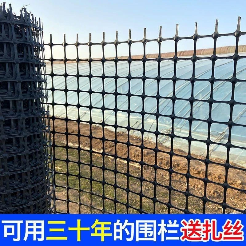 塑料养殖网养鸡鸭围栏网胶网果园圈地网菜园防护网圈玉米土工格栅
