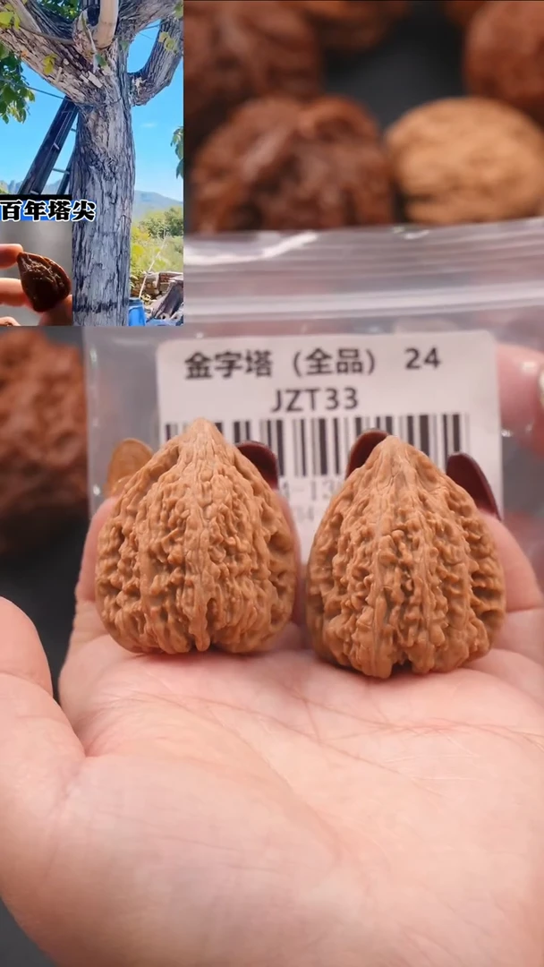 【闪购商品】文玩核桃把件34蚂蚁王金字塔