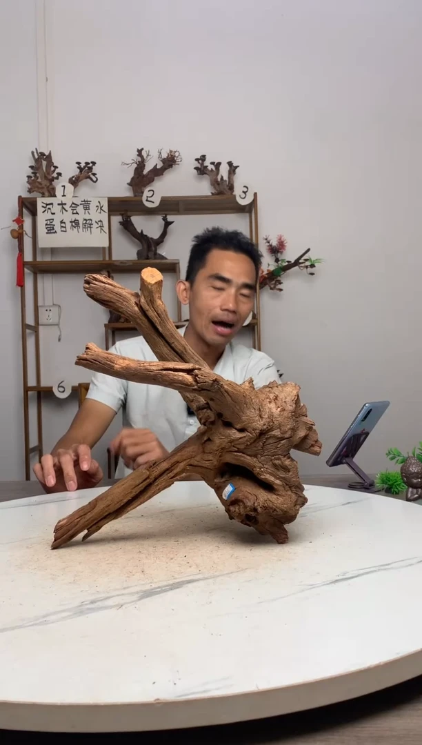 鱼*鱼缸造景沉木摆件