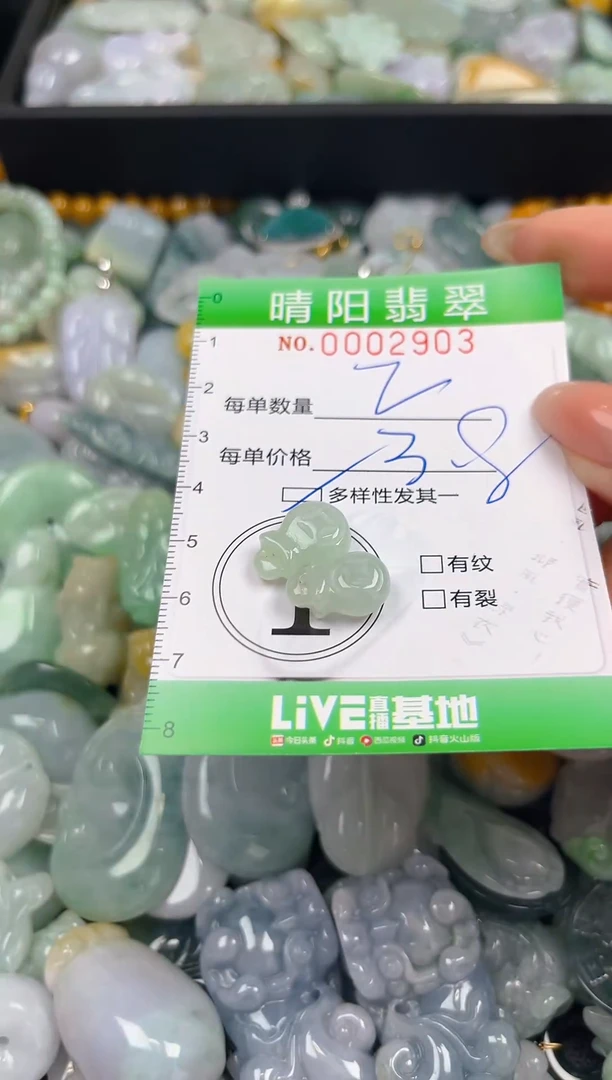 翡翠未镶嵌颈饰闪购0002903多样性发其二