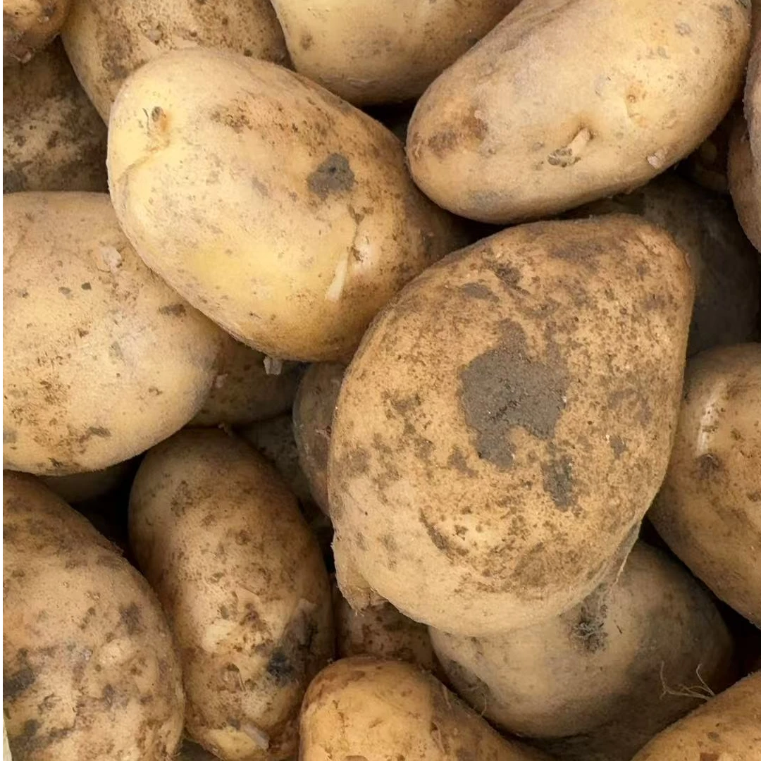 （蒋支书助农）黄皮土豆5斤 村民自己种的土豆