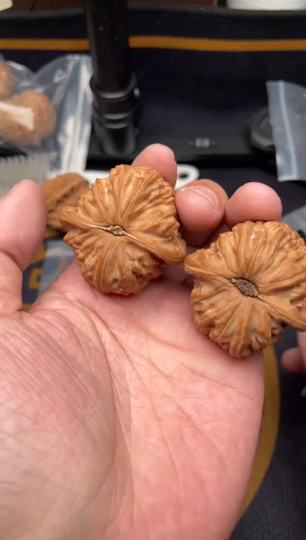 吊坠文玩核桃白狮子40+S130