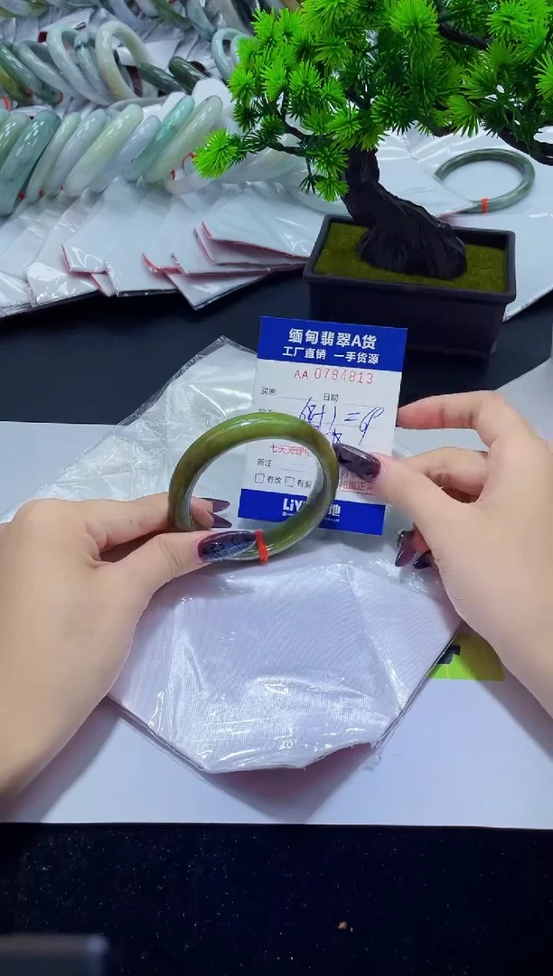 未镶嵌手镯翡翠天然翡翠A货4813