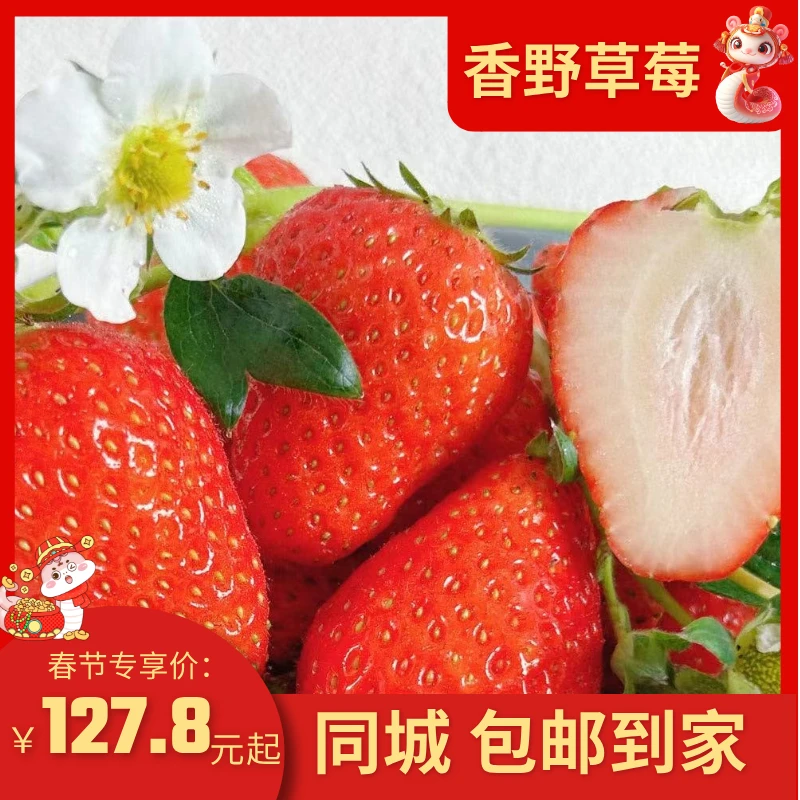 【西禾香野草莓】现摘现发新鲜 大果中果香野草莓坏果包赔包邮