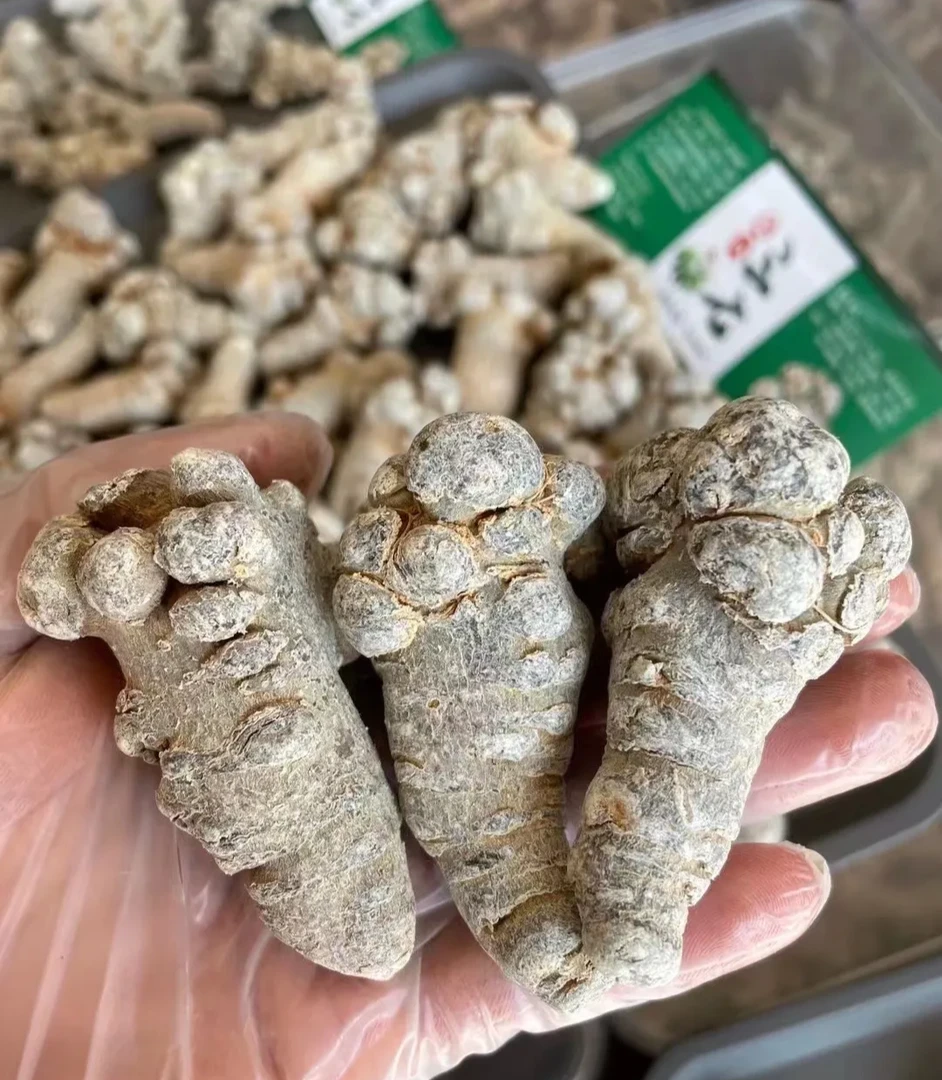 雪黛甄选 【原产地文山三七32头整个滑头主根】