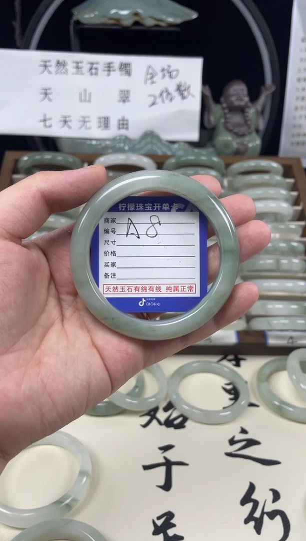 石英质玉（天山翠）手镯未镶嵌A8
