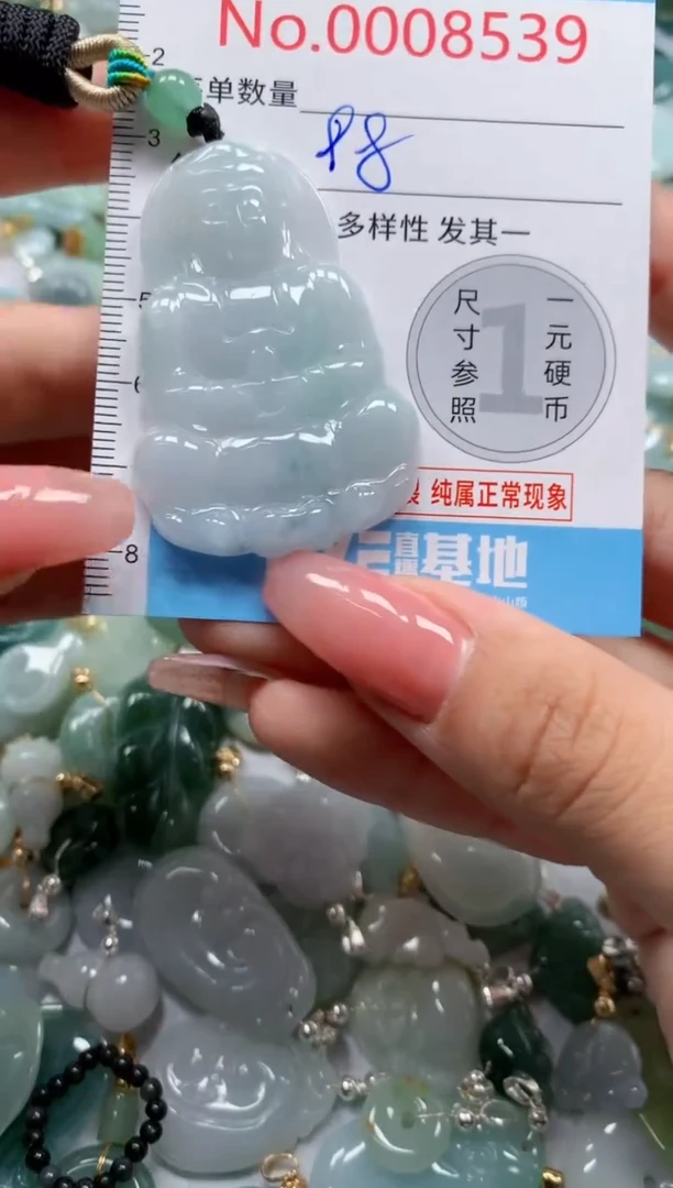 翡翠未镶嵌吊坠(不含链)8540