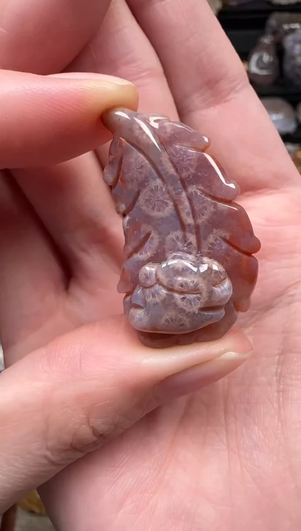 颈饰未镶嵌硅化珊瑚（珊瑚玉）695