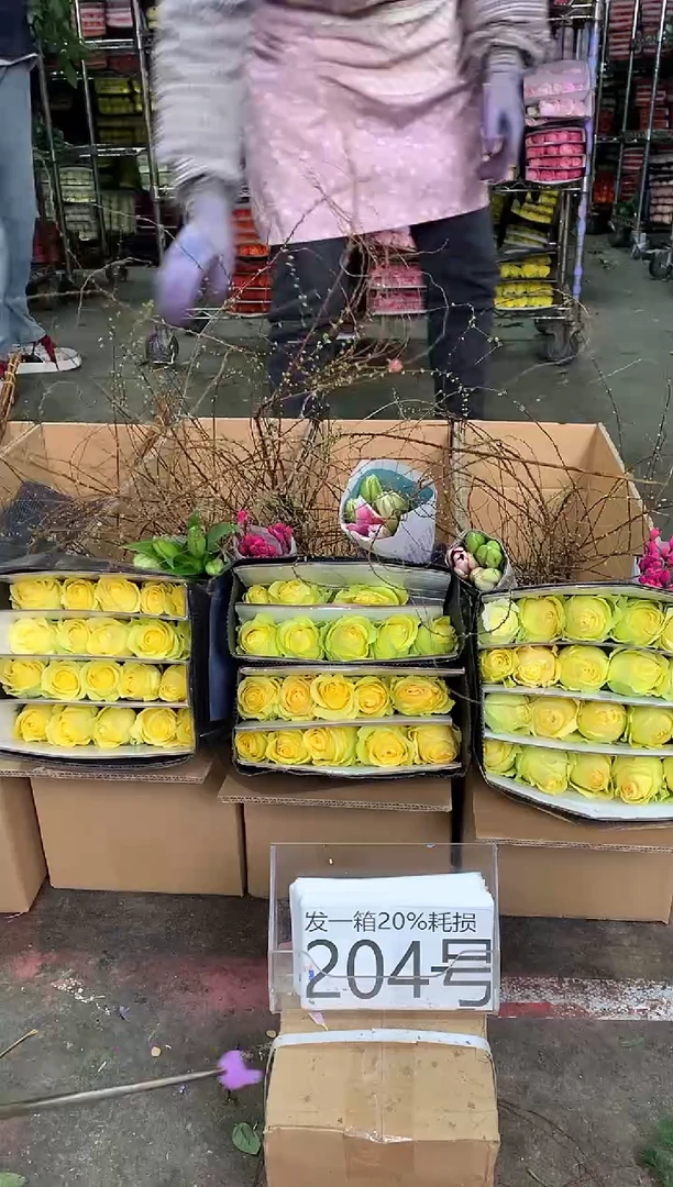 204号♥中通含20%耗损发一箱鲜花