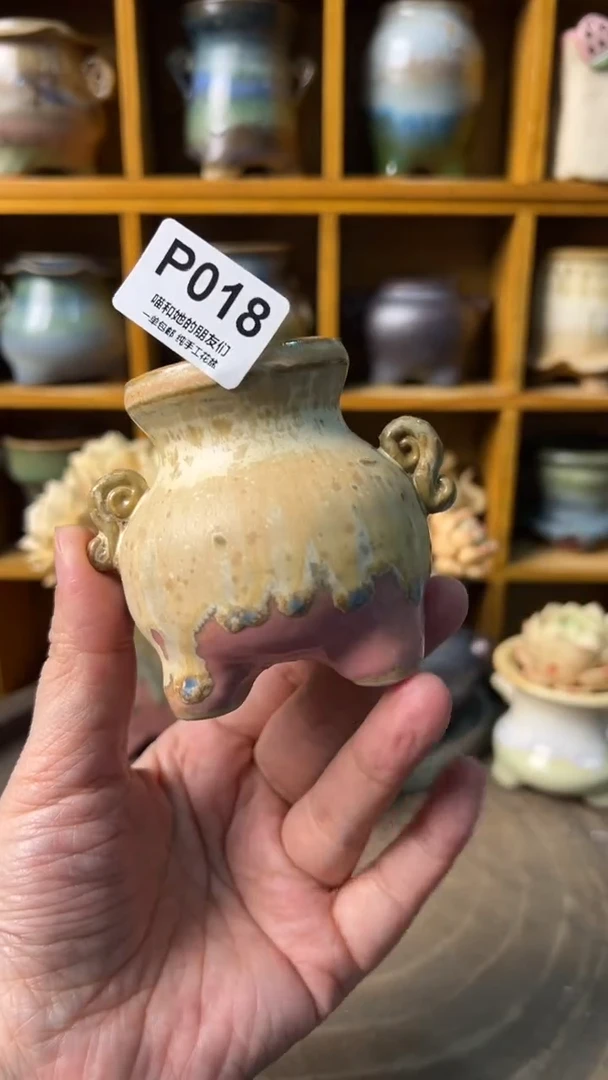 018 内口4.5【多肉花盆多肉盆】